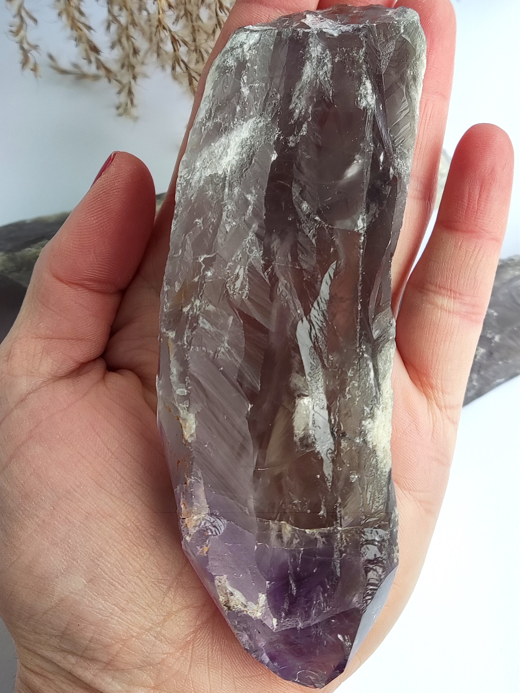Ametist "Dragon’s Tooth" Ametist "Dragon’s Tooth" - Kristali - 3